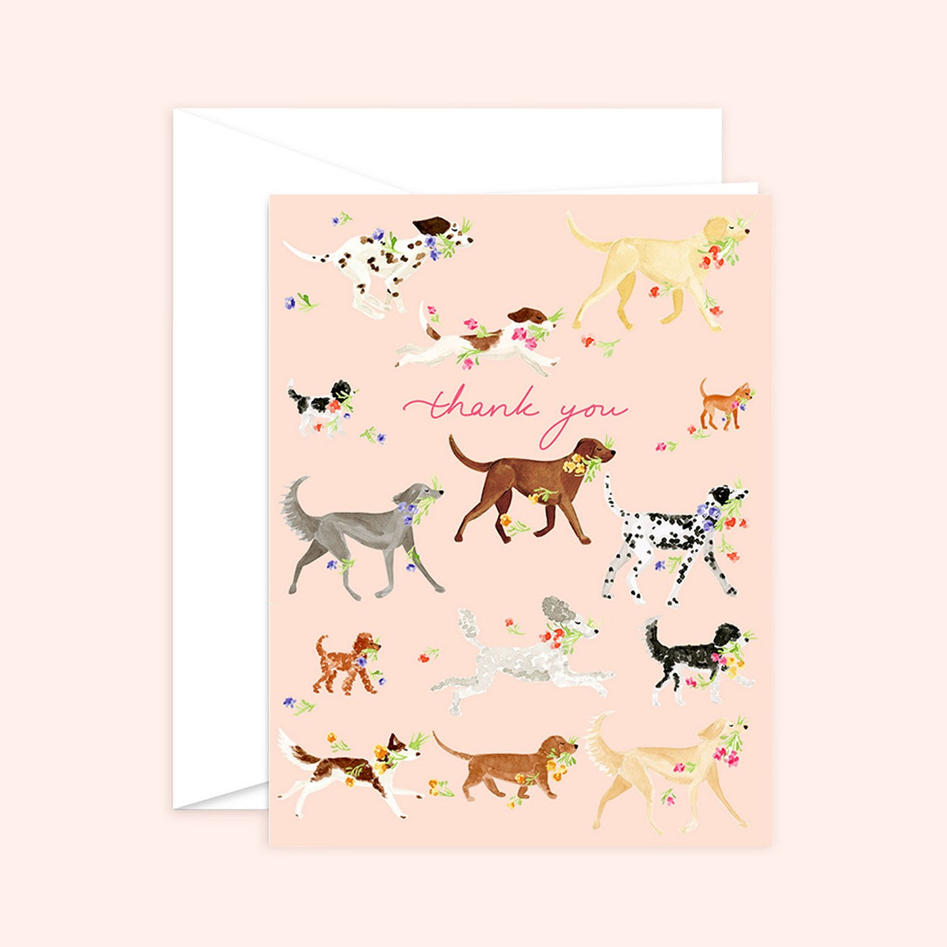 Thank you Dog Florals Card