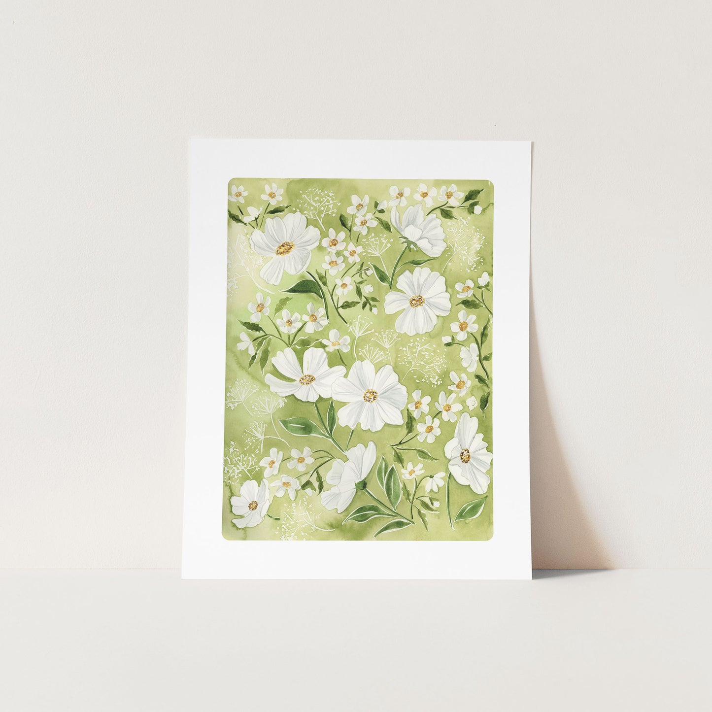Garden Daisies
