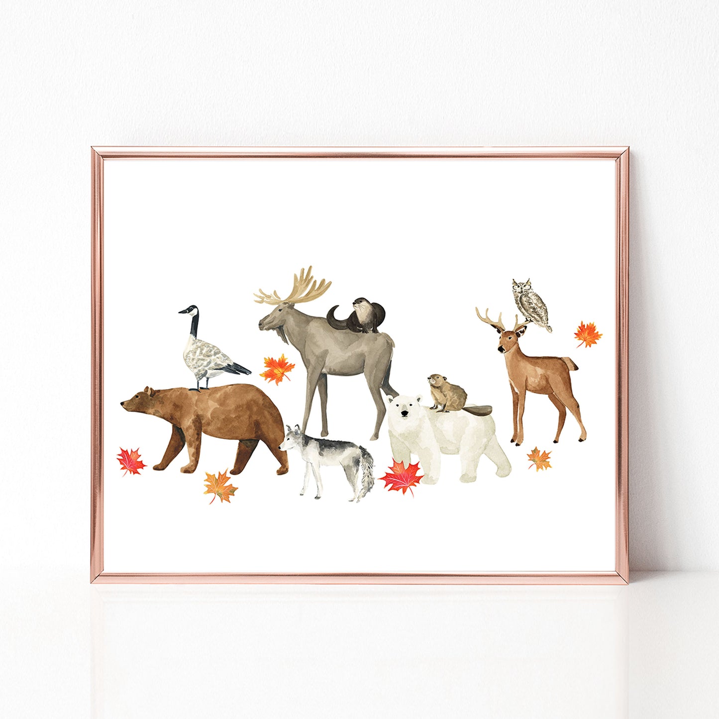 Animals of Canada II