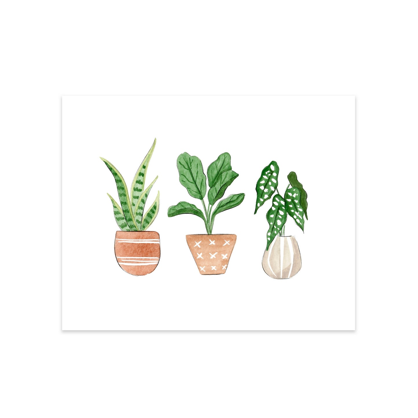 Plant Trio Art Print
