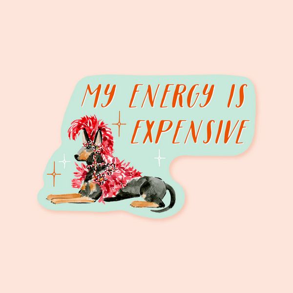 My Energy is Expensive Sticker
