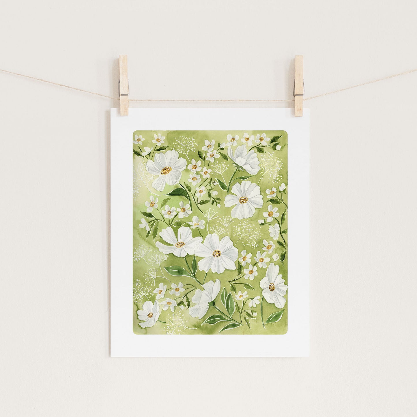 Garden Daisies
