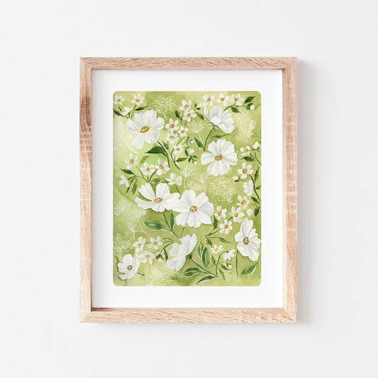 Garden Daisies