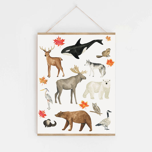 Animals of Canada