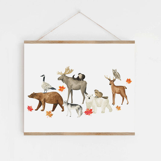 Animals of Canada II