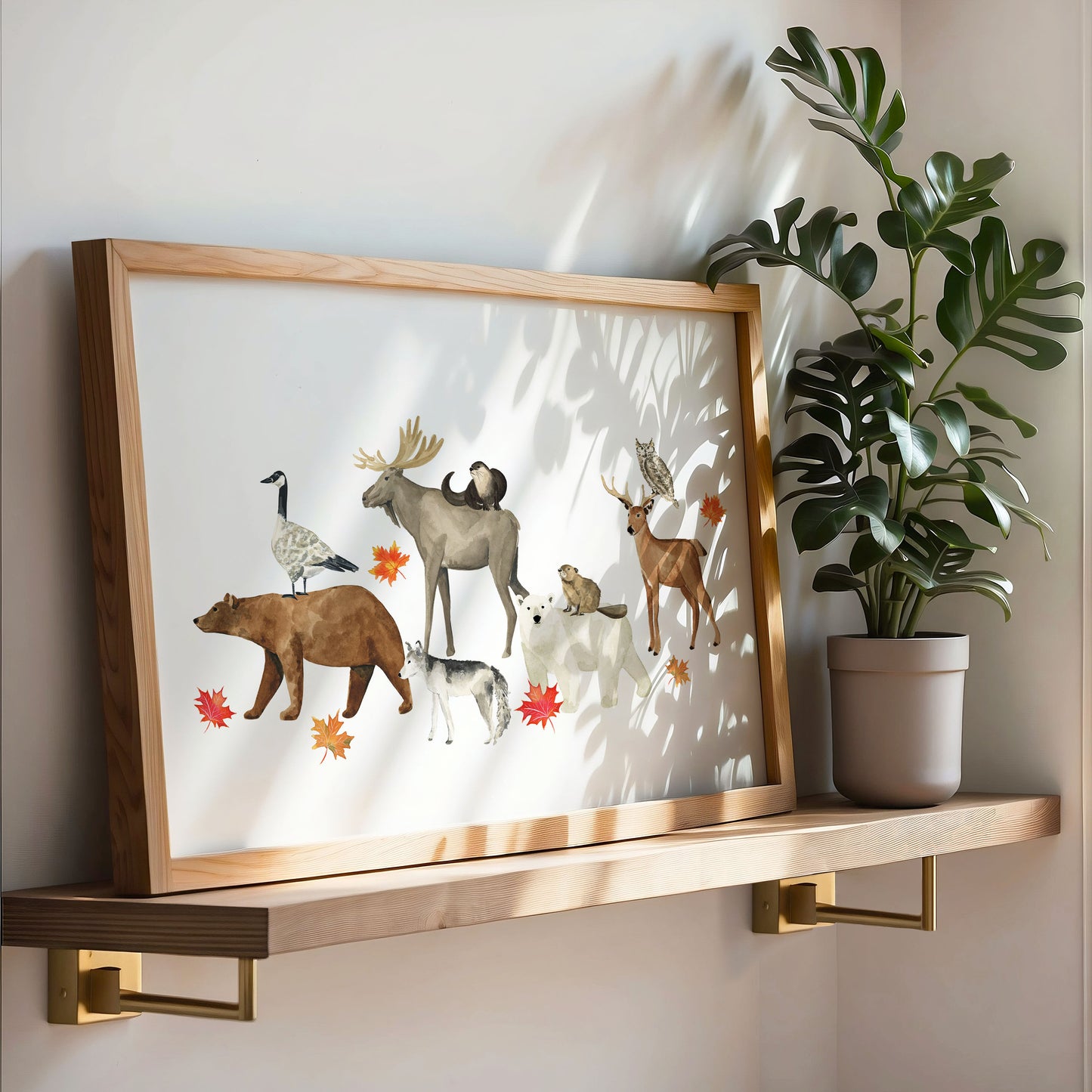 Animals of Canada II