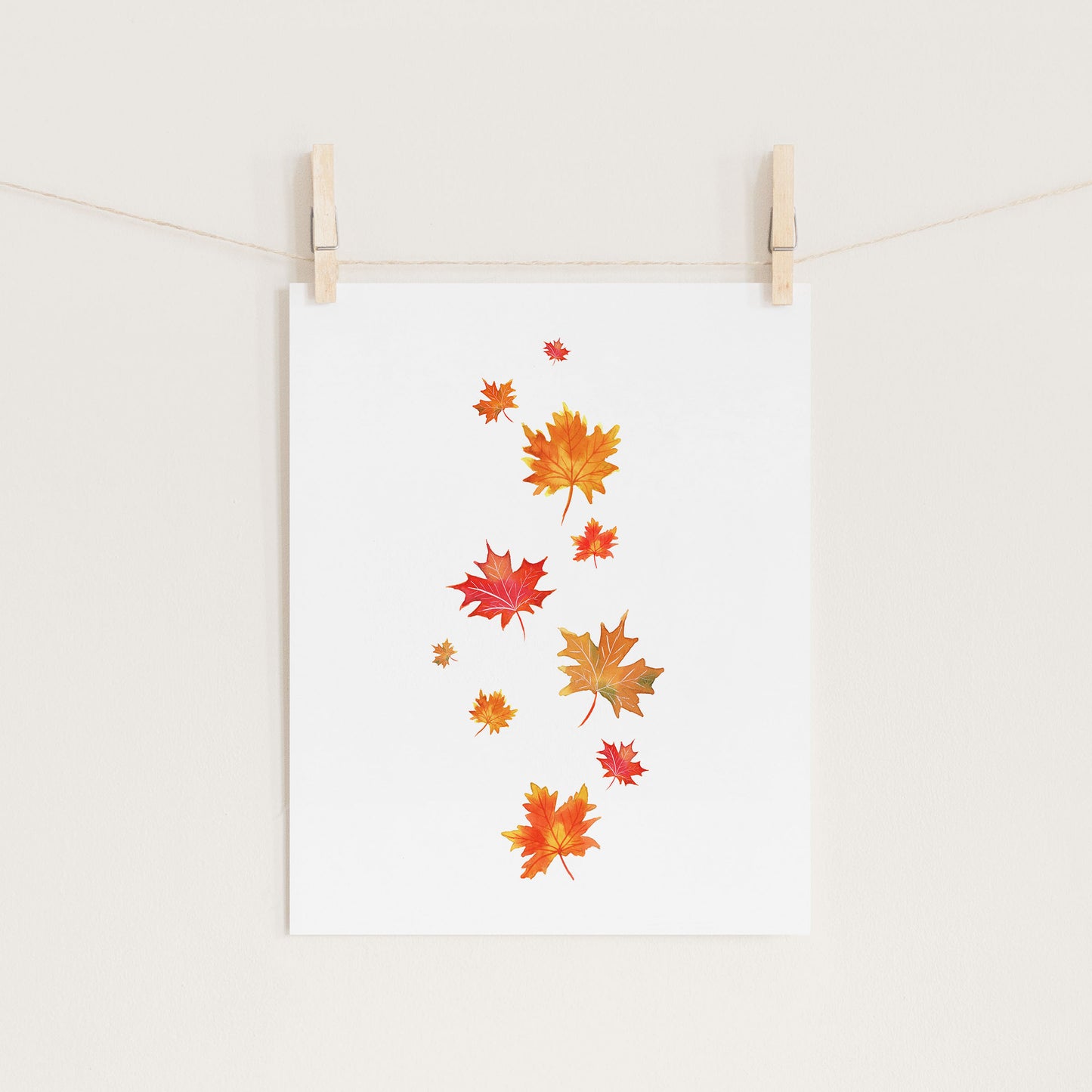 Maple Leaves