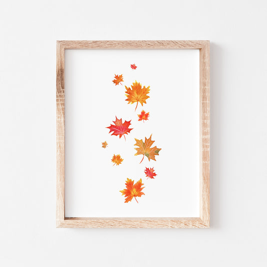 Maple Leaves