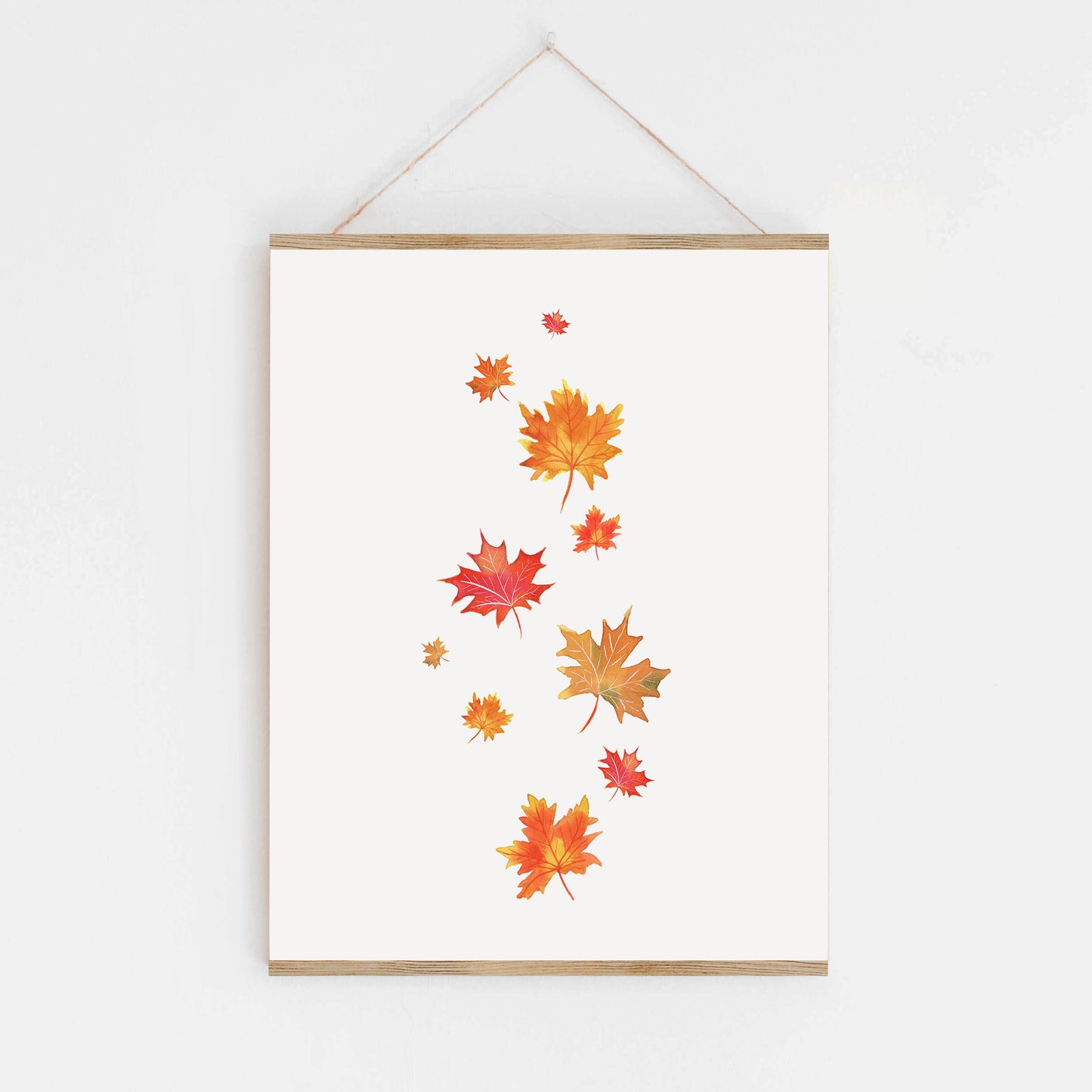 Maple Leaves