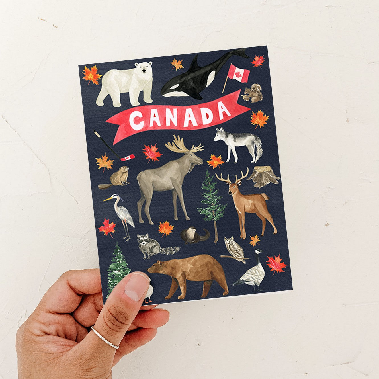 True North Canada Card
