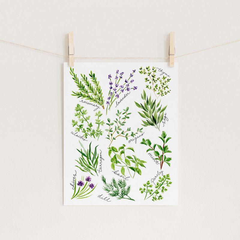 Kitchen Herbs