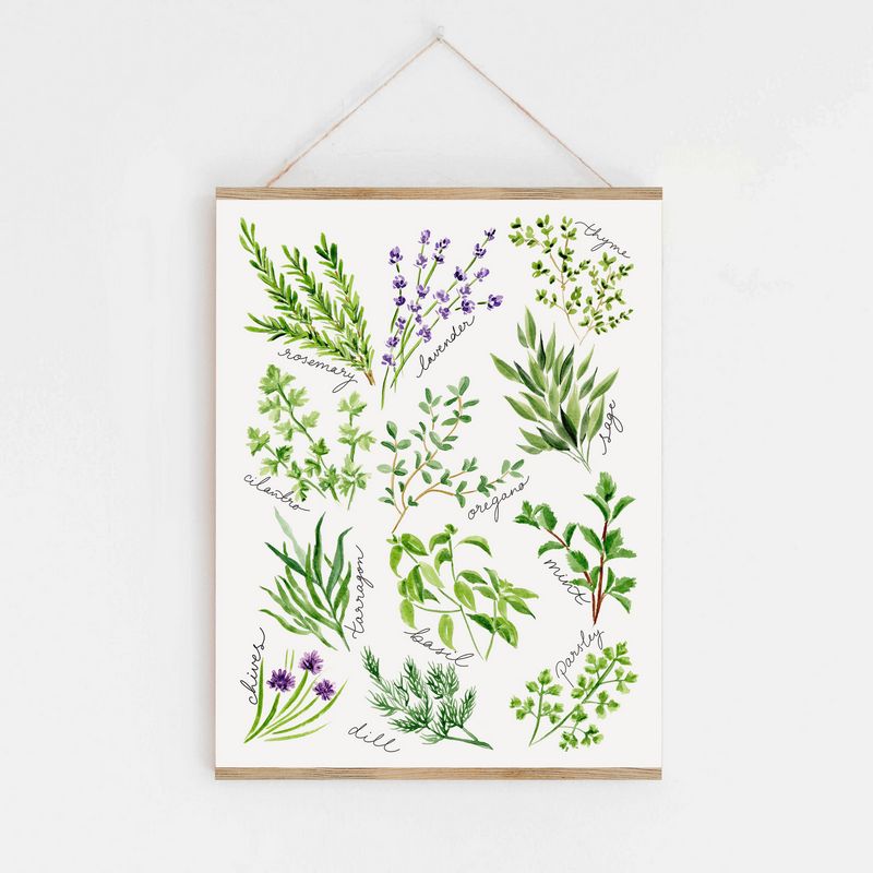 Kitchen Herbs