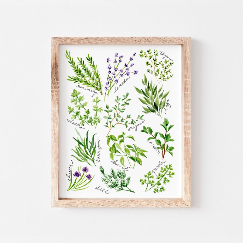 Kitchen Herbs