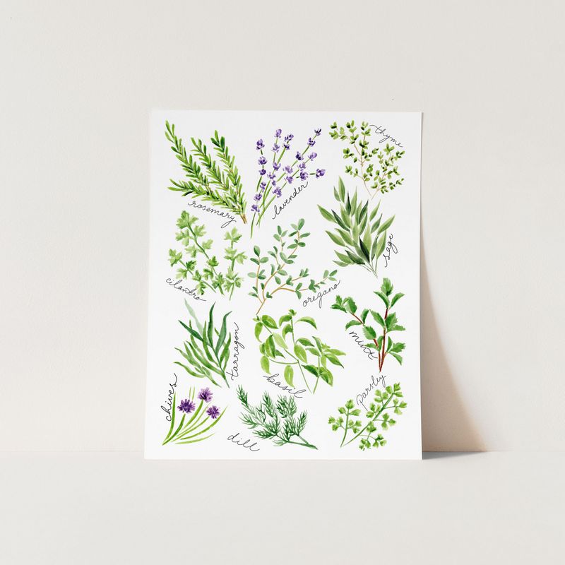 Kitchen Herbs