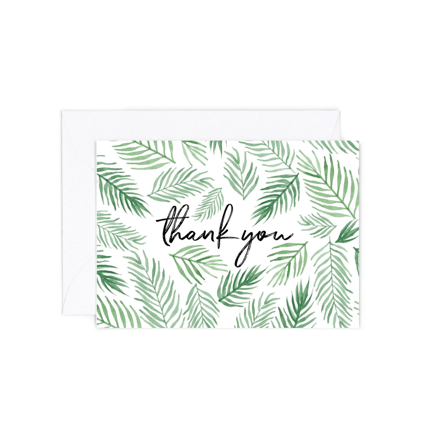 Thank You Ferns