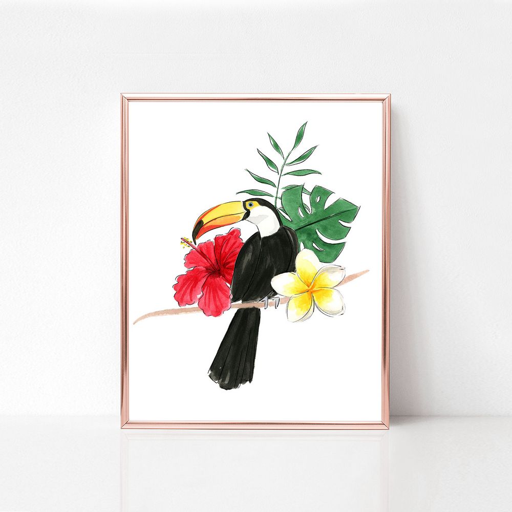 Toucan