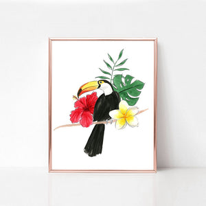 Toucan