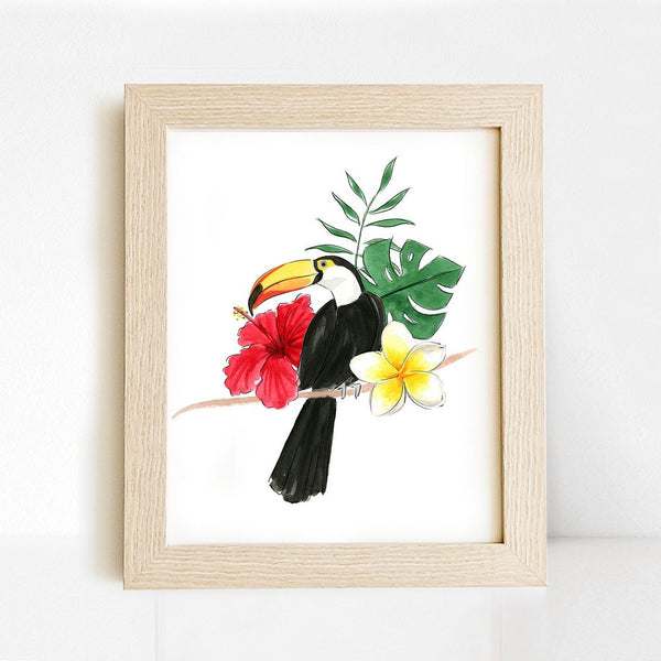 Toucan