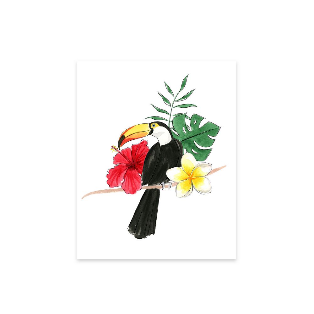 Toucan
