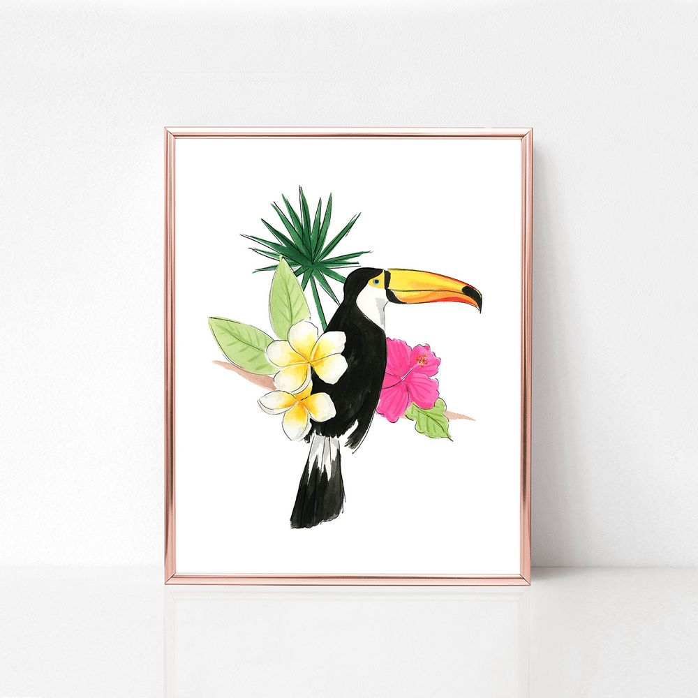 Toucan II