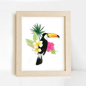 Toucan II