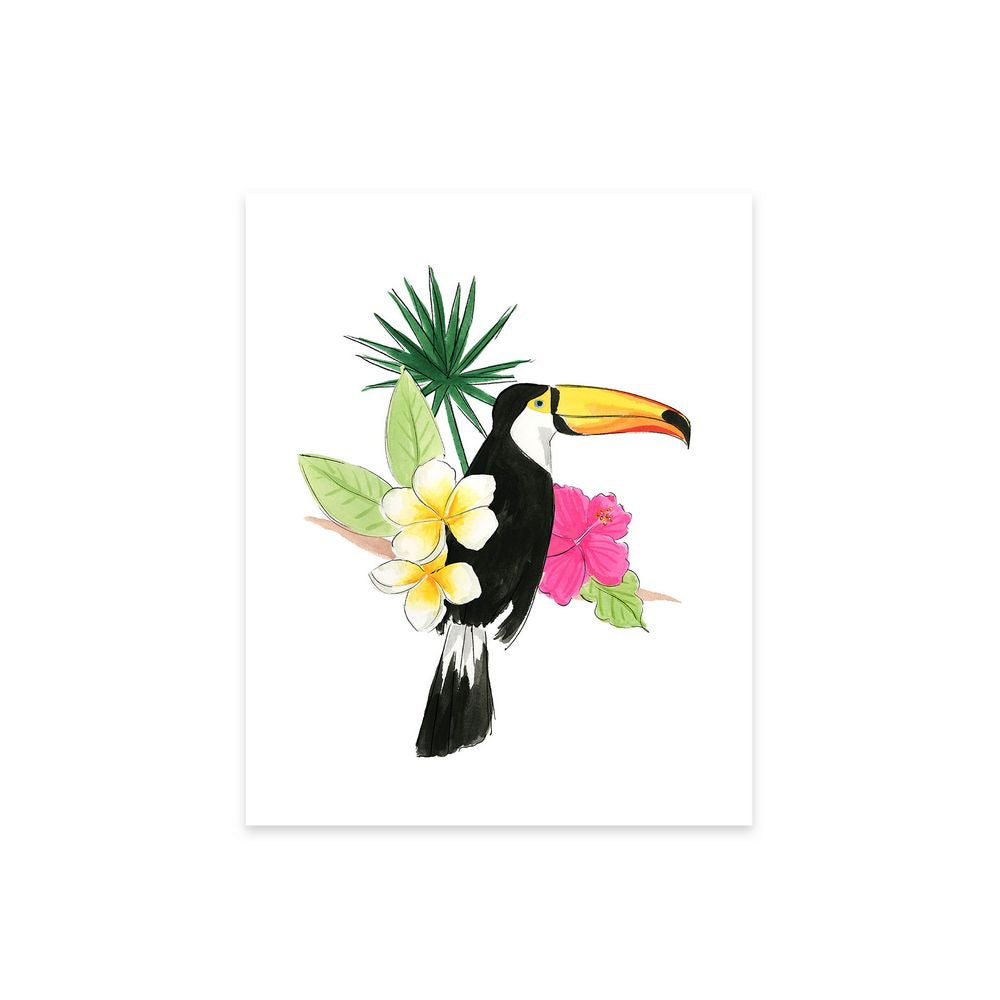 Toucan II