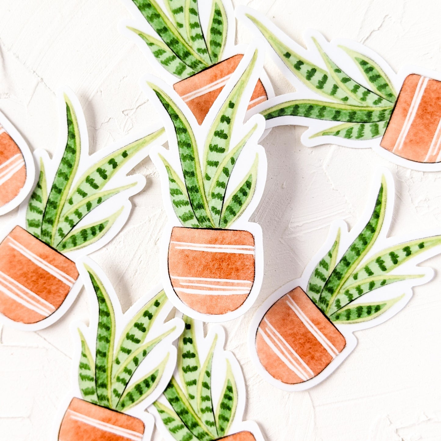Vinyl Dracaena trifasciata Snakes Tongue Sticker