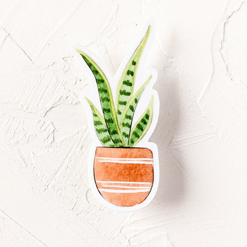 Vinyl Dracaena trifasciata Snakes Tongue Sticker