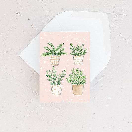 Plants Quartet