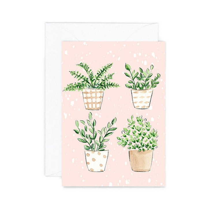 Plants Quartet